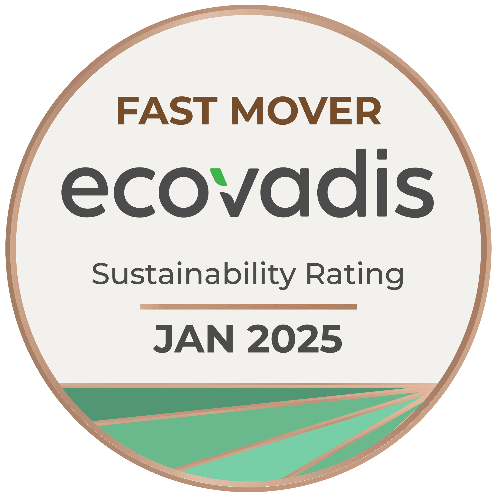 ecovadis 2025