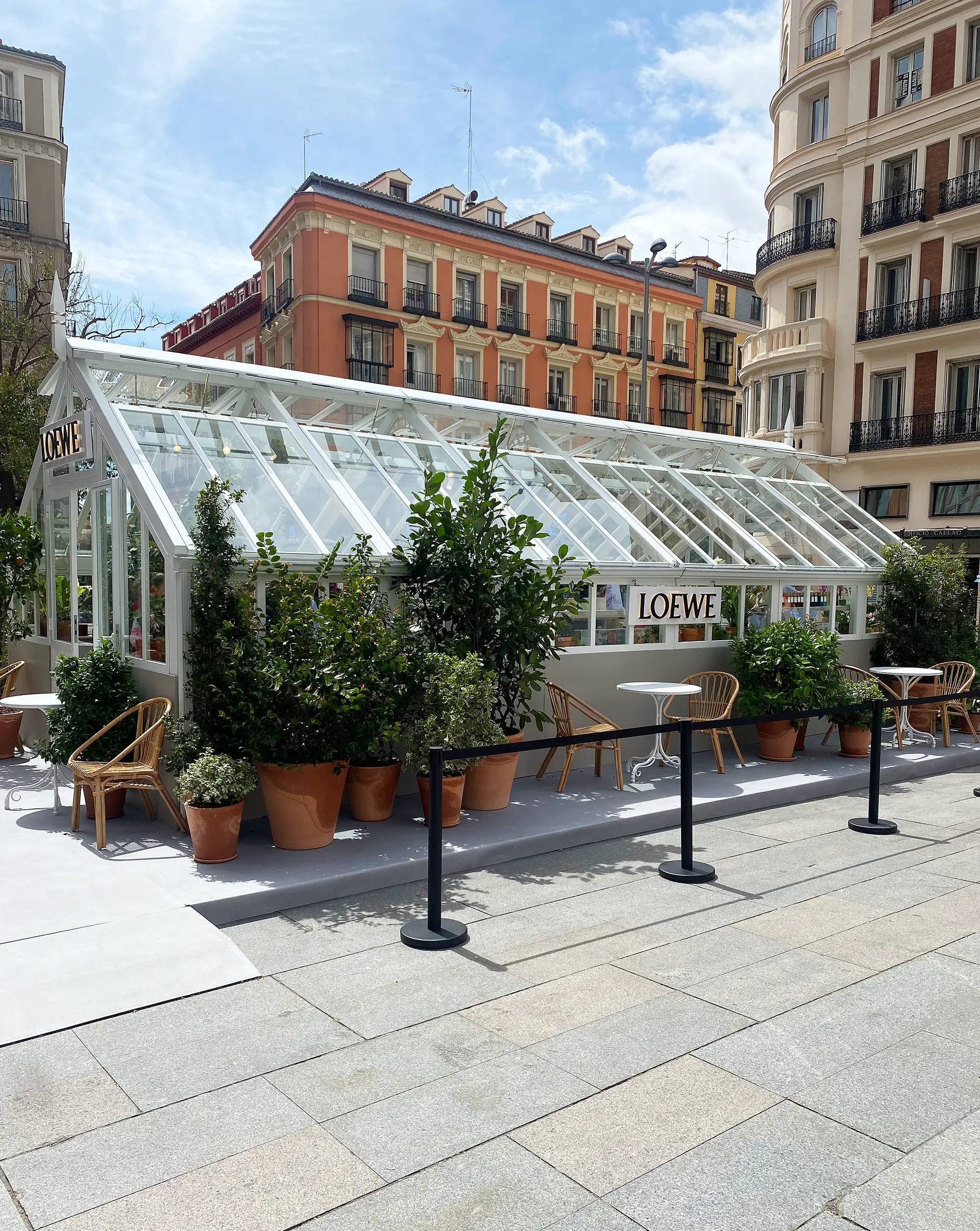 Eventos InvernaderoLoewe